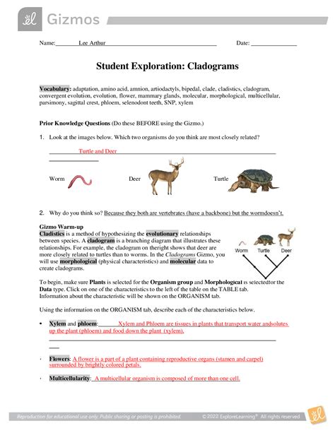 Cladograms gizmo answer key - Gizmos Student Exploration: Cladograms Answer Key $10.45 Add to Cart. Browse Study Resource | Subjects. No school. Gizmos Student Exploration: Cladograms Answer Key.